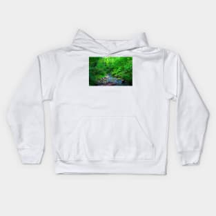 Scenery in Sarnano near Pozze dell'Acquasanta with waters, rocks, musk, greenery, trees, crowns Kids Hoodie